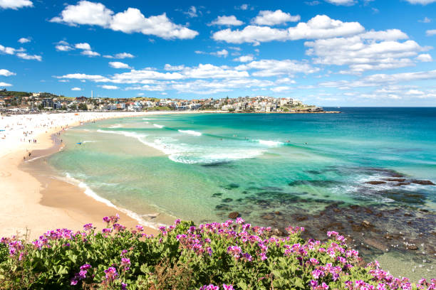 Du học hè Úc (Sydney)